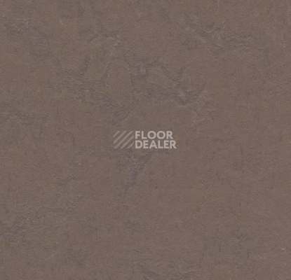 Линолеум Forbo Marmoleum Decibel on Order 356835 delta lace фото 1 | FLOORDEALER